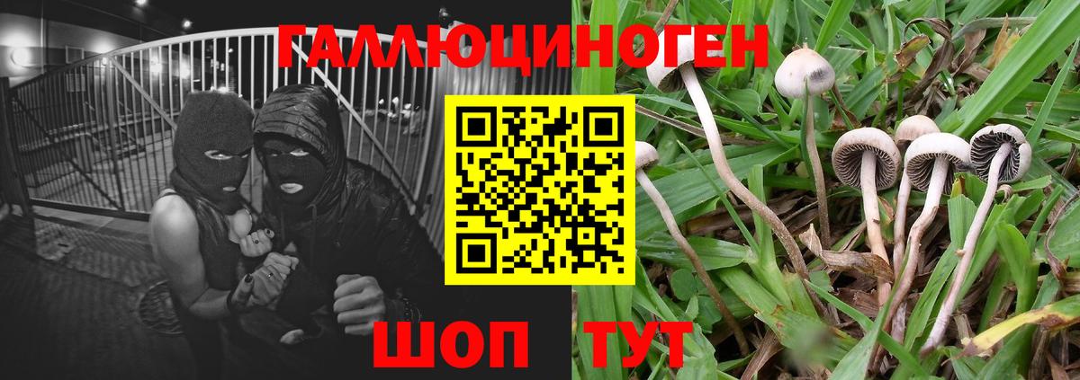 закладки  Псилоцибиновые грибы ЛСД  Вход с VPN  Нефтеюганск  Галлюциногенные грибы мухоморы 